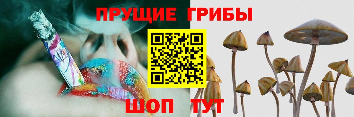 Галлюциногенные грибы Psilocybe  Вход с VPN  закладки  Галлюциногенные грибы ЛСД  Фрязино 